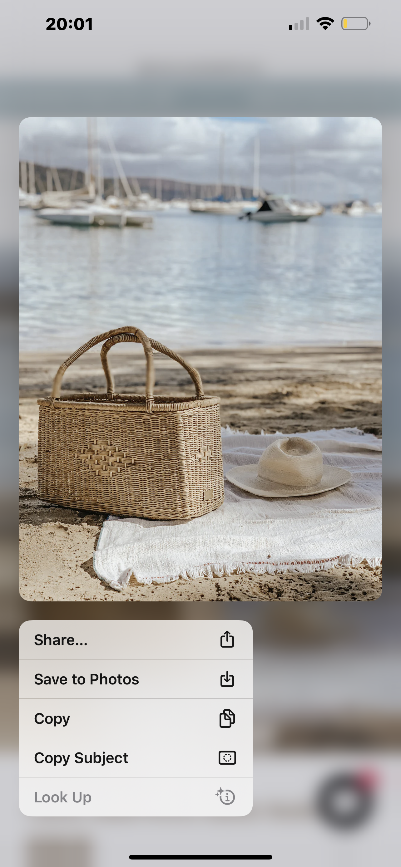 Market Baskets - Set Of 3