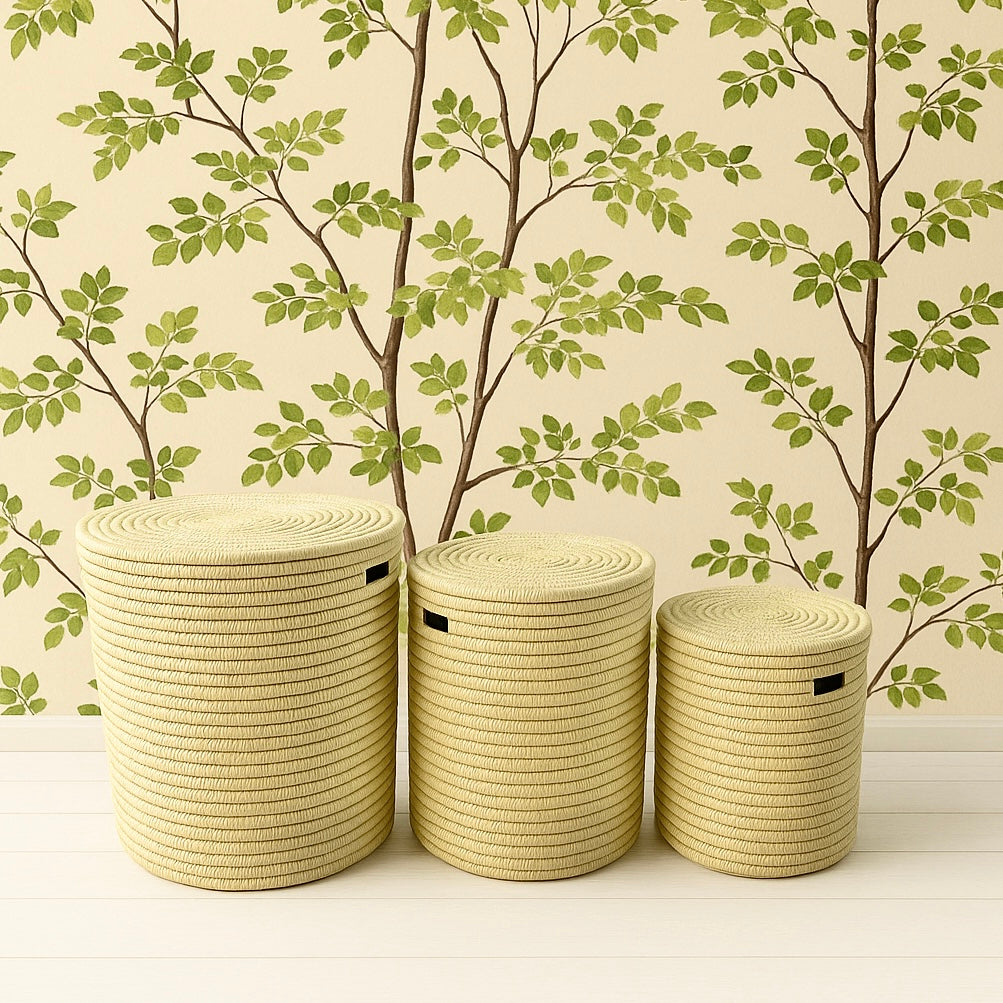 Laundry Basket With Handles And Lids - Individual Or Set