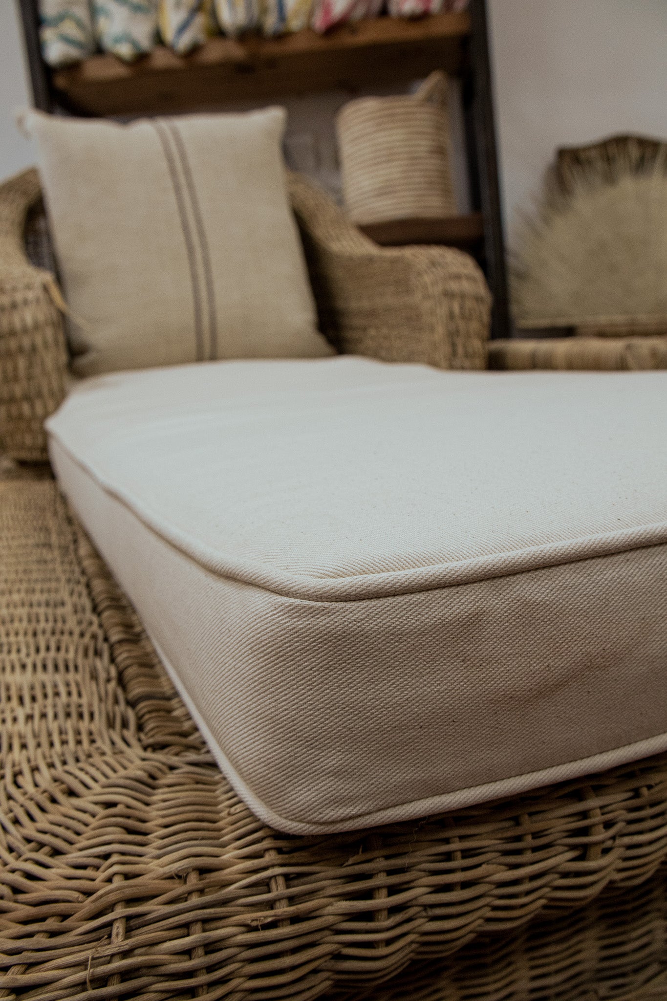 Foam Cushion Lounger