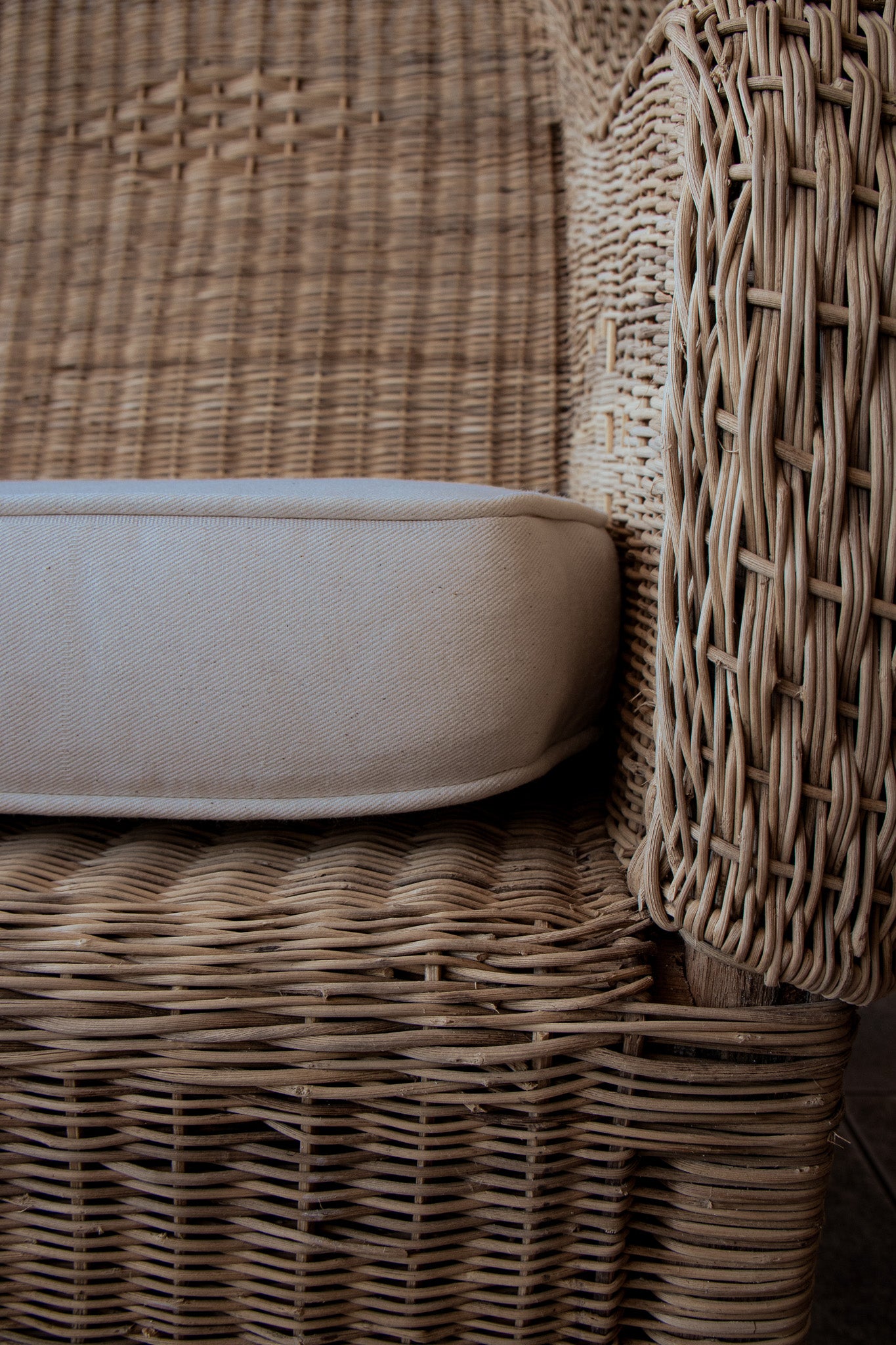 Foam Cushion Circle Back Chair