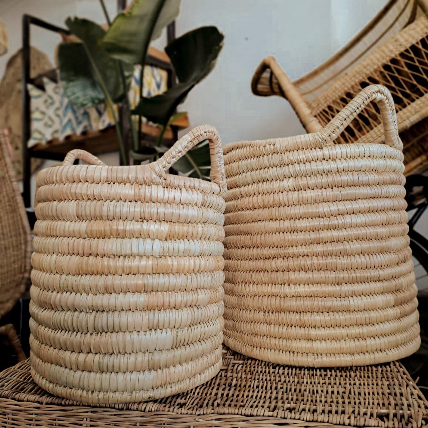Market Drum Basket Set of 3