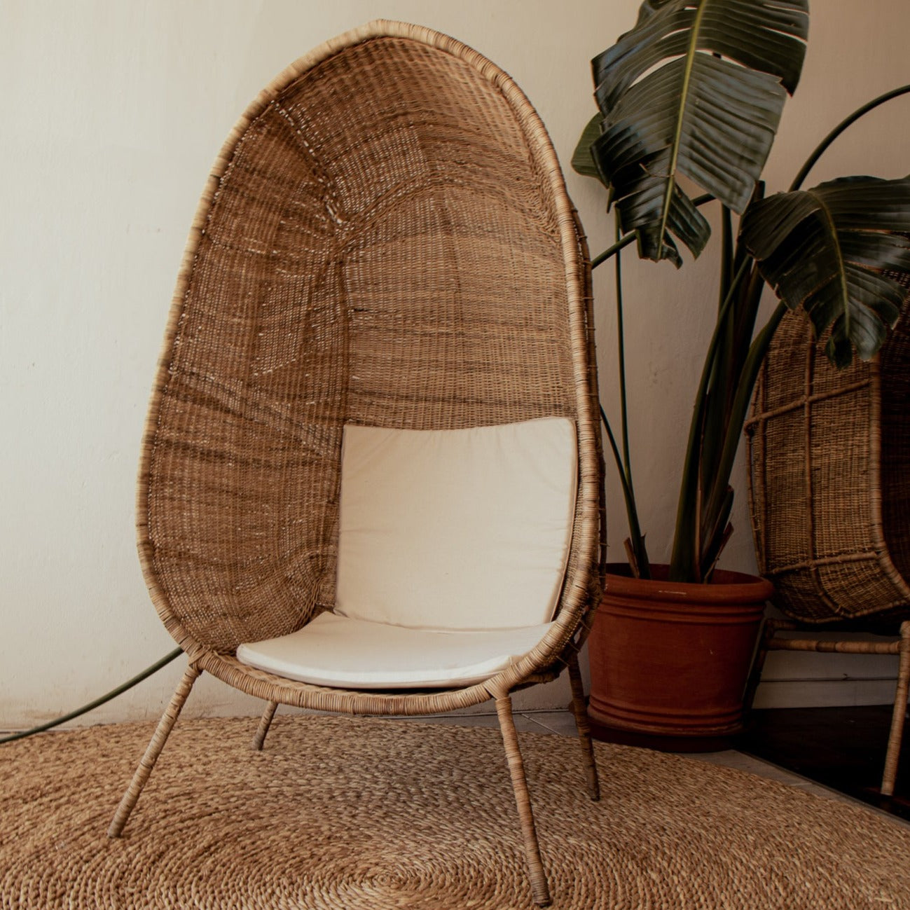 cane Egg Chair