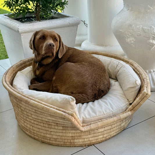 Dog Basket L